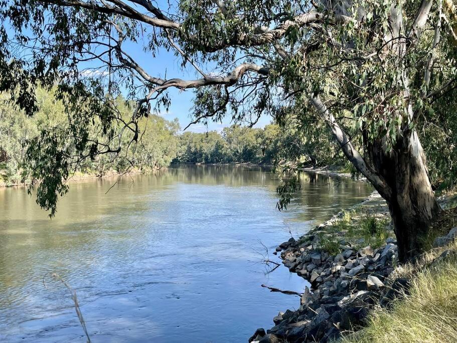 “Riverbank Retreat” Central Unit On The River Apartment Wagga Wagga Exterior photo